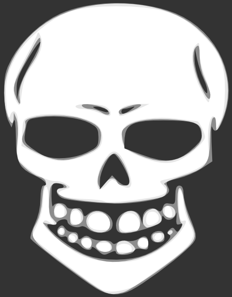 Skull Human X Ray Clip Art At Clker Com   Vector Clip Art Online