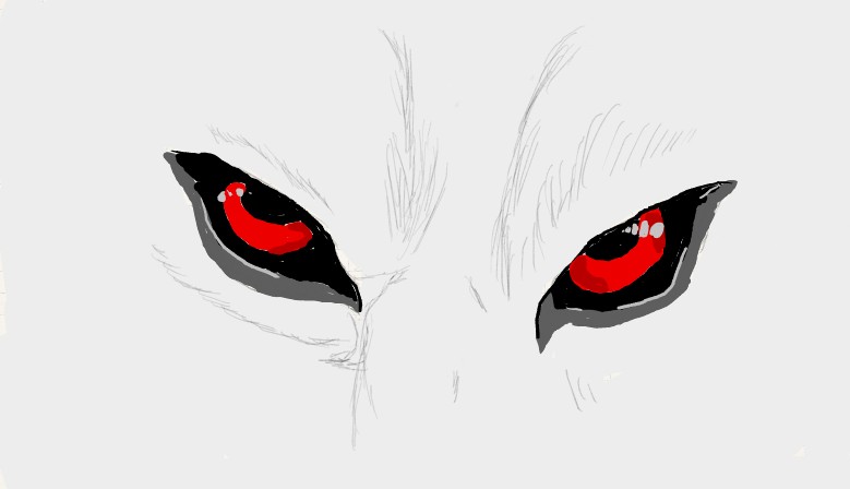 Anime Wolf Eyes Drawing   Anna6003   2015   Aug 28 2011