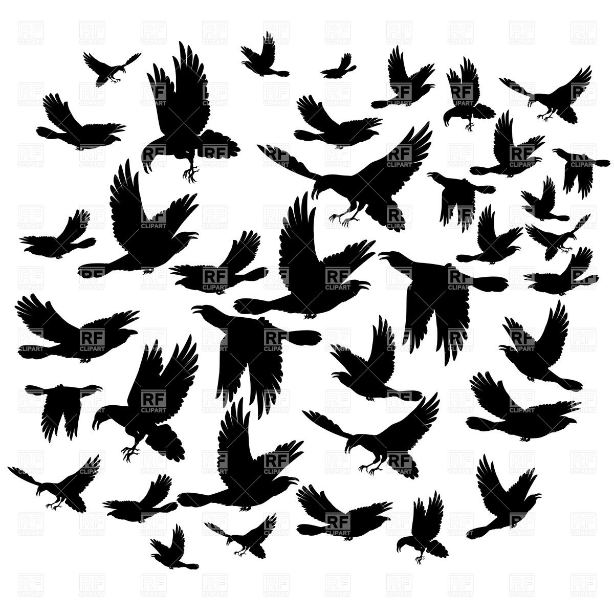Black Flying Crows 35851 Download Royalty Free Vector Clipart  Eps