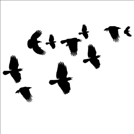 Flock Of Crows Decal