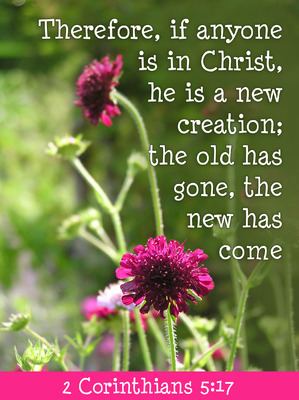 New Creation   Sermon Bulletins Covers   Christart Com