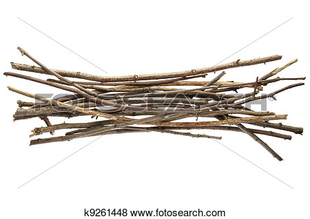 Picture Of Sticks And Twigs Wood Bundle