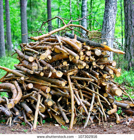 Pile Of Twigs Clipart A Pile Of Twigs Firewood In
