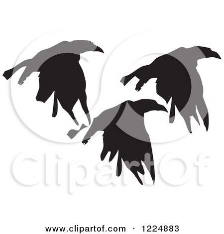 Royalty Free  Rf  Clipart Of Flying Crows Illustrations Vector