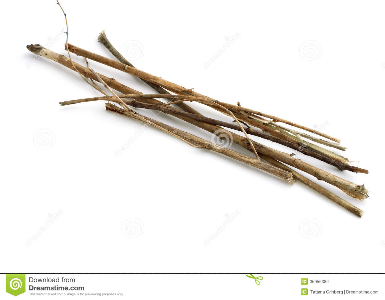 Sticks And Twigs Wood Bundle On White Royalty Free Stock Images