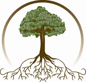 Tree Roots   Free Images At Clker Com   Vector Clip Art Online