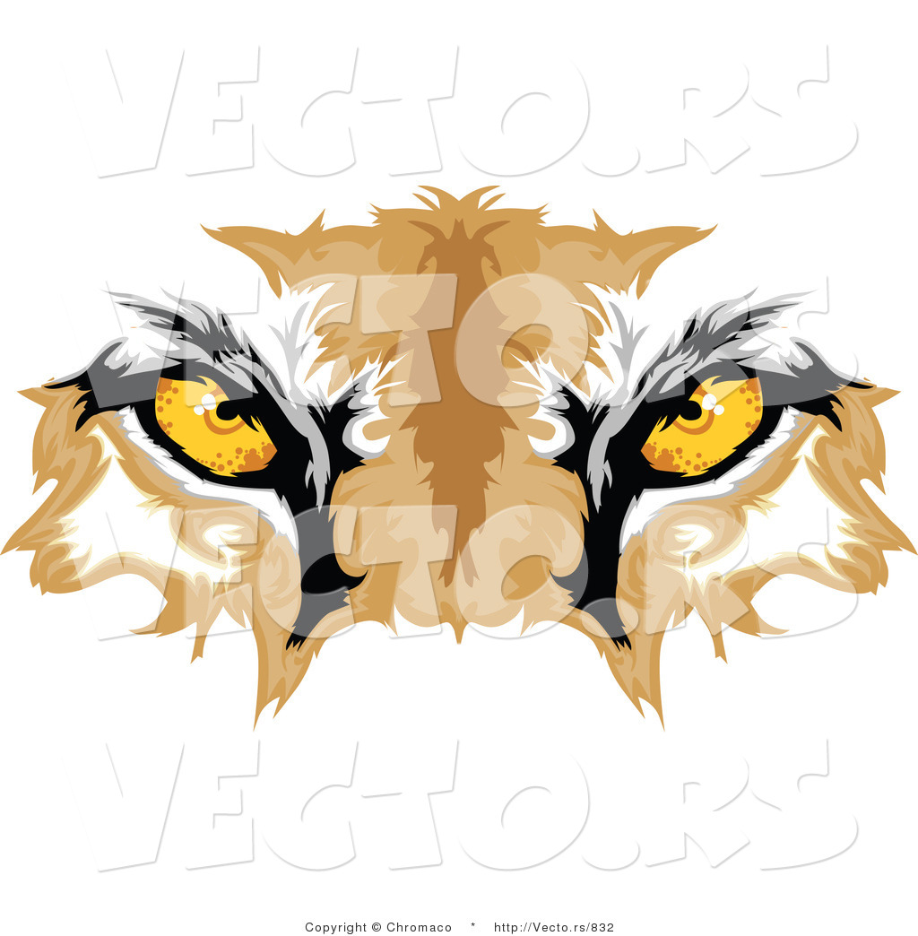 Vector Of Cougar Eyes By Chromaco    832