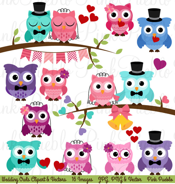 Wedding Owls Clipart And Vectors   Illustrations On Creative Market