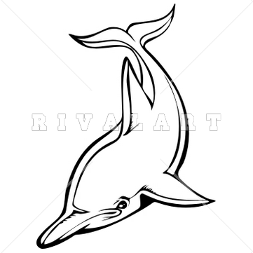 Dolphin Clipart Black And White Baw Dolphin 01 R G Gif