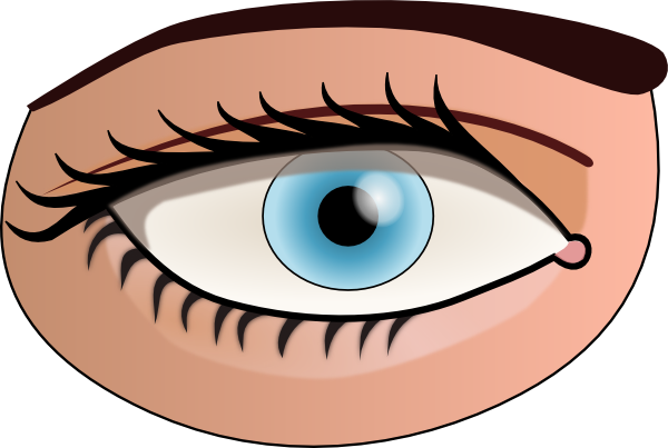 Eye Clip Art At Clker Com   Vector Clip Art Online Royalty Free