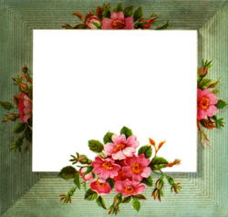 Flower Frame Clipart  Mellos