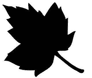Leaf Clipart Black And White   Clipart Panda   Free Clipart Images