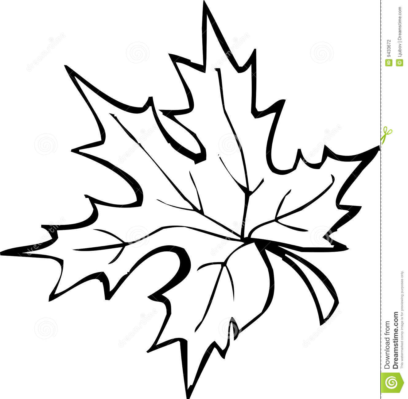 Maple Leaf Clipart Black And White   Clipart Panda   Free Clipart