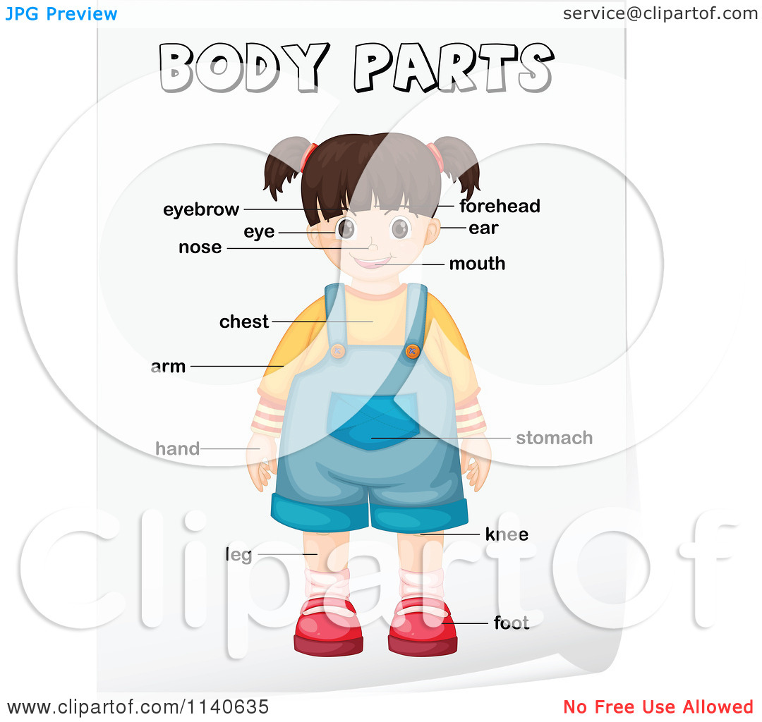 Parts Of The Body For Kids Clipart Parts Of The Body Clipart