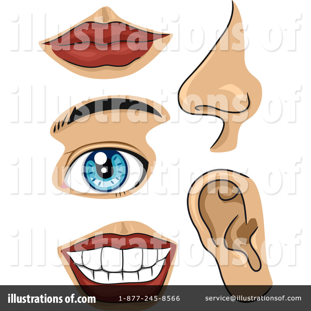 Royalty Free  Rf  Body Parts Clipart Illustration By Bnp Design Studio