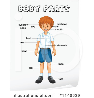 Royalty Free  Rf  Body Parts Clipart Illustration By Colematt   Stock