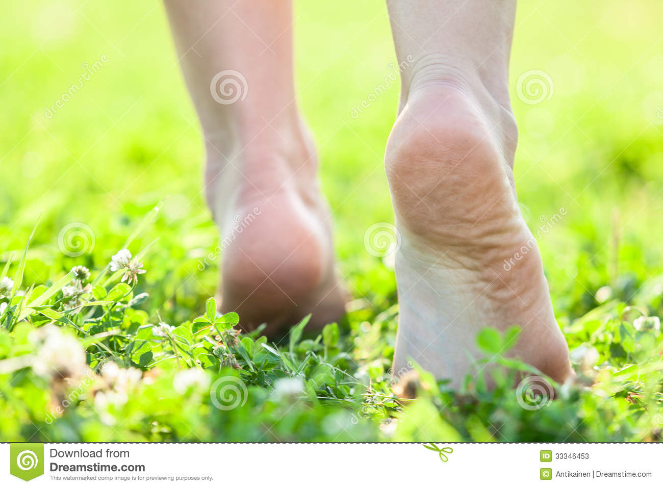Bare Feet On The Soft Summer Grass Stock Photos   Image  33346453