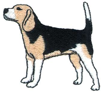 Beagle   Custom Online Embroidery Design