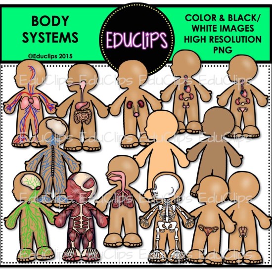 Body Systems Clip Art Bundle  Color And B W