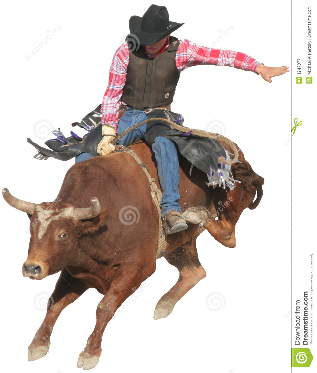 Bull Rider Royalty Free Stock Photography   Image  1247377