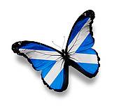 Flag Of Scotland Butterfly Isolated On White   Clipart Graphic