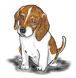 Free Beagle Puppy Clip Art