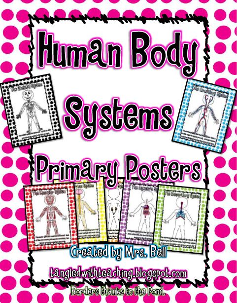 Life Love Literacy  Human Body Systems Ready To Teach