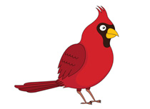 Northern Cardinal Bird Winter Bird Clipart
