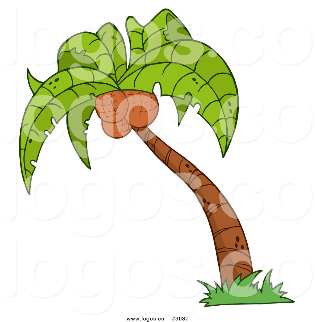 Palm Tree Coconut Clipart This Palm Tree Stock Logo