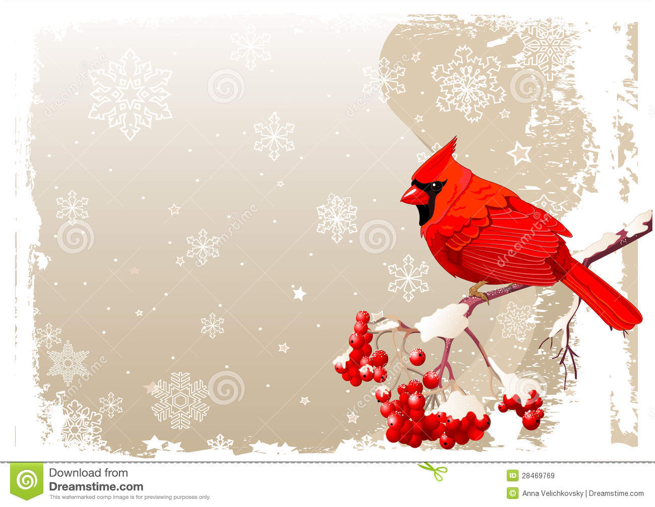 Red Cardinal Bird Background Royalty Free Stock Images   Image