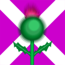 Scottish Thistle And Flag Clipart   Royalty Free Public Domain Clipart