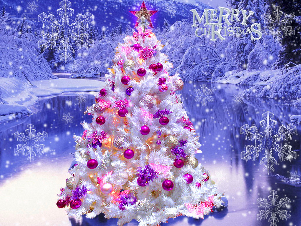 Beautiful Christmas Tree   Christmas Wallpaper  27617948    Fanpop