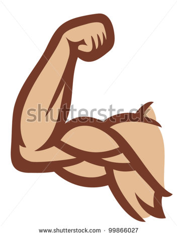 Biceps  Man S Arm Muscles Arm Showing Muscles And Power  Stock Vector