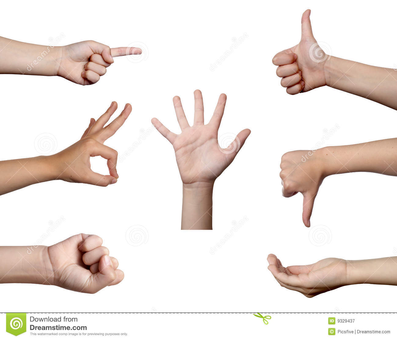 Collection Of Hands Gesturing On White Background  Each One Is In The