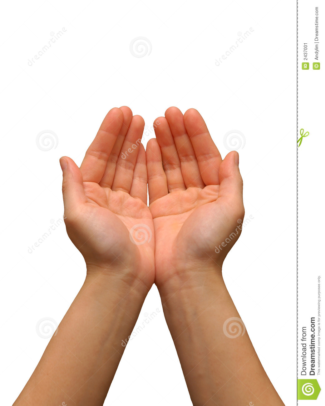 Cupping Hand Gesture Isolated With A White Background