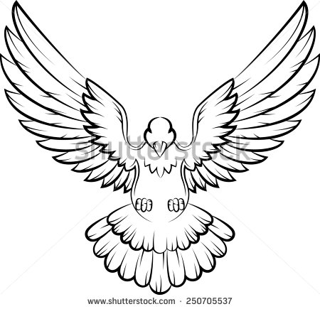 Dove Birds Logo For Peace Concept And Wedding Design   Stock Photo
