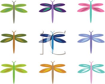 Dragonfly Clipart Black And White