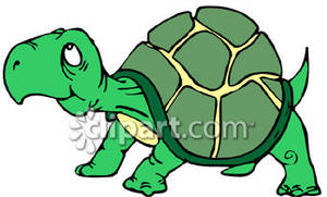 Funny Cartoon Turtle Royalty Free Clipart Picture