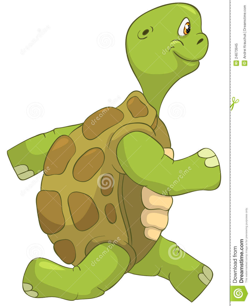 Funny Turtle  Running  Royalty Free Stock Photo   Image  24673945