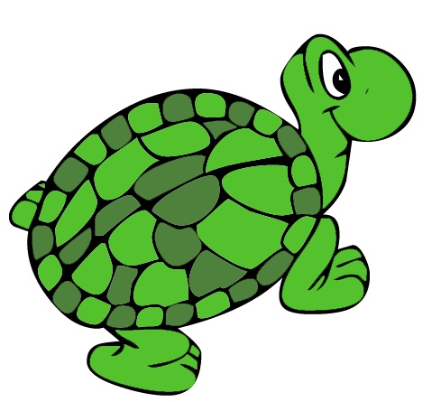 Green Turtle Turtle Clip Art