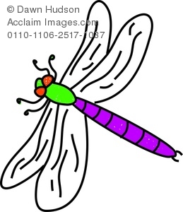 Whimsical Dragonfly