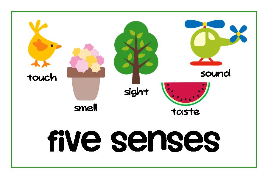10 5 Senses Clip Art Free Cliparts That You Can Download To You