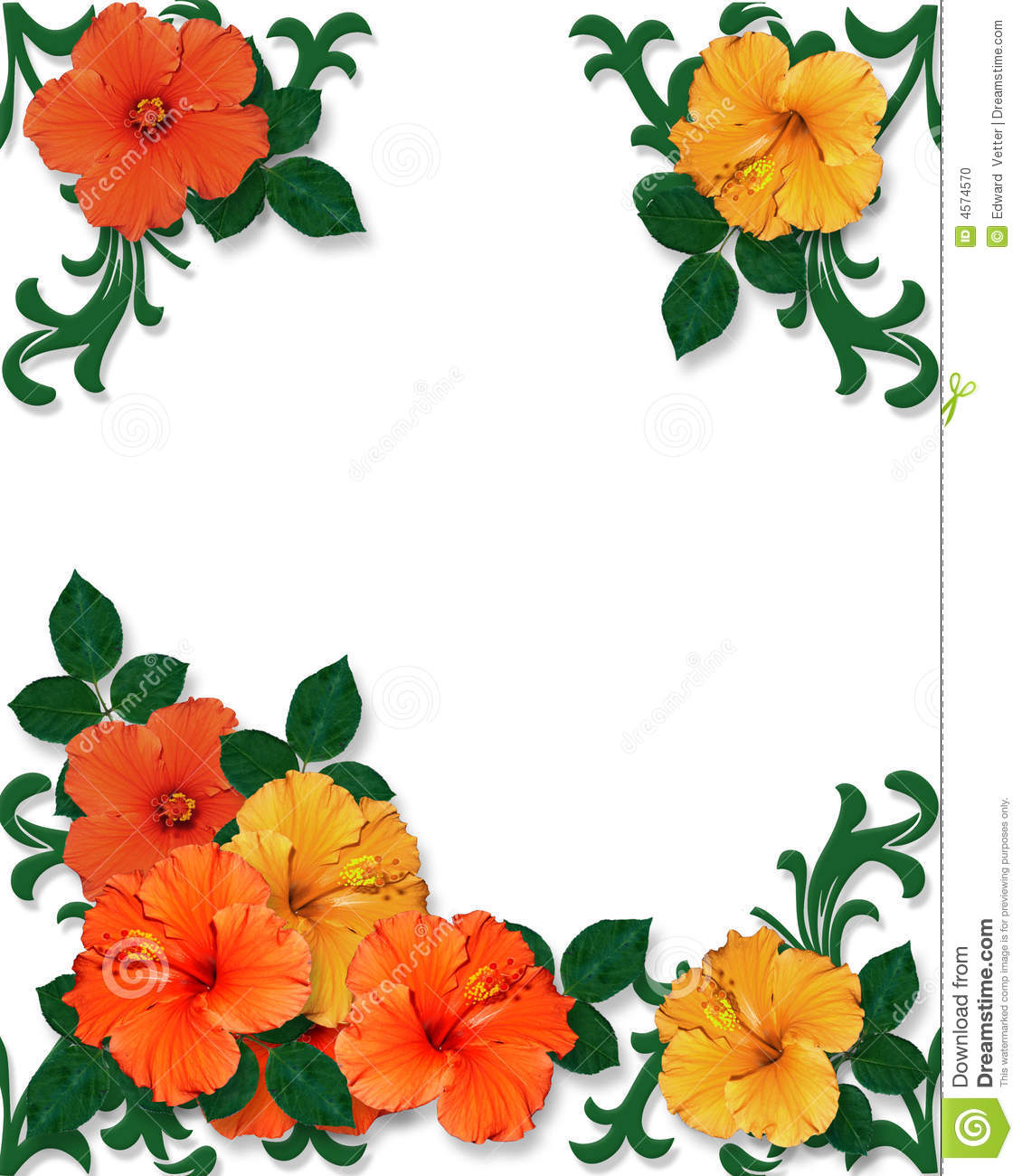 Hawaiian Flower Clip Art Borders Luau Flower Clip Art Tropical