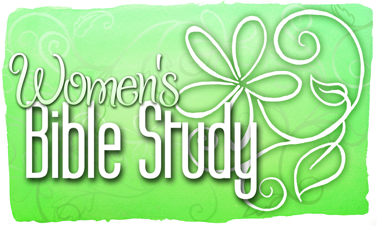Women S Bible Study