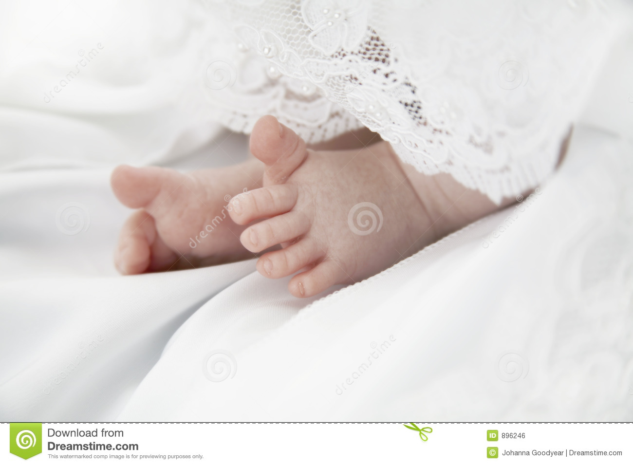 Baby Toes Royalty Free Stock Image   Image  896246