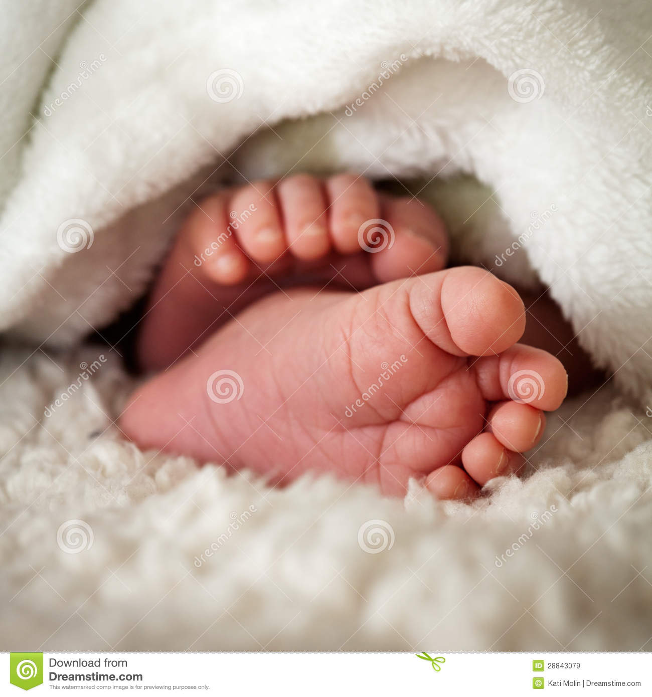 Baby Toes Royalty Free Stock Images   Image  28843079