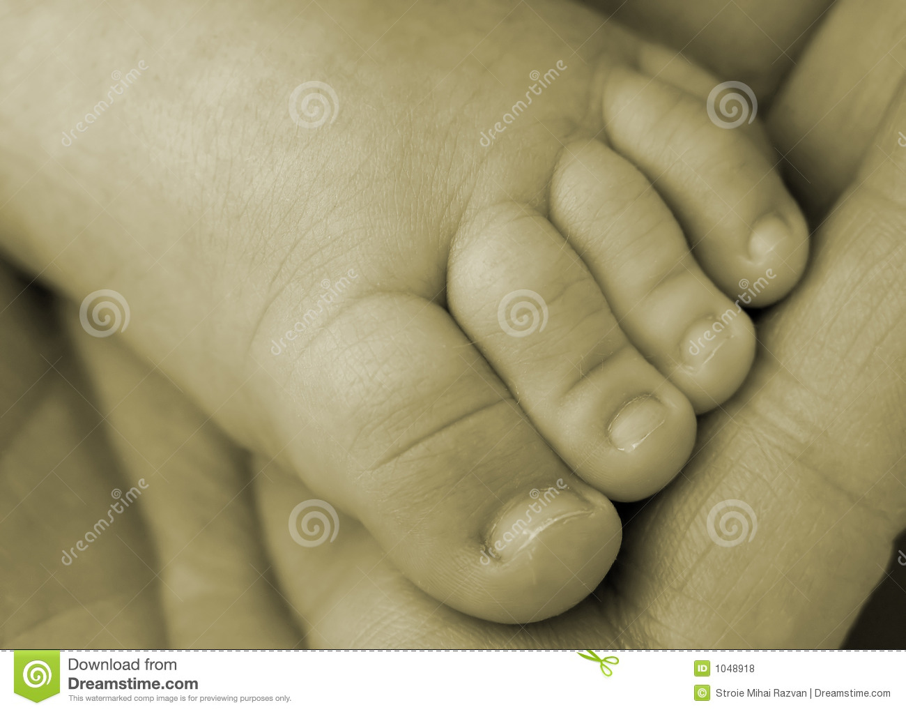 Baby Toes Royalty Free Stock Photos   Image  1048918