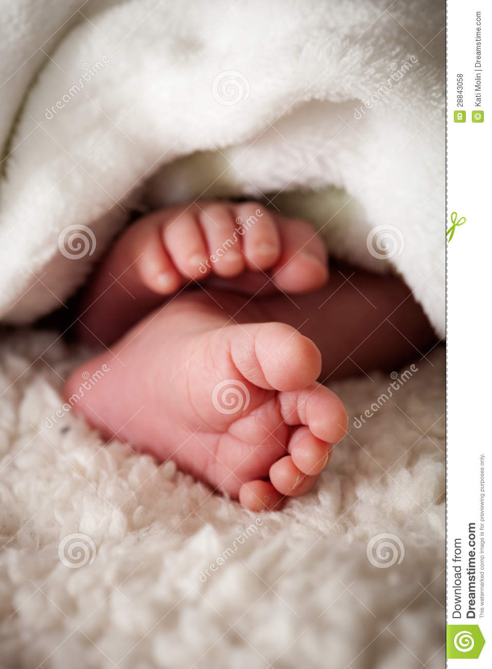 Baby Toes Royalty Free Stock Photos   Image  28843058