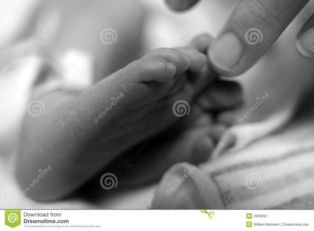 Baby Toes Stock Photography   Image  2926552