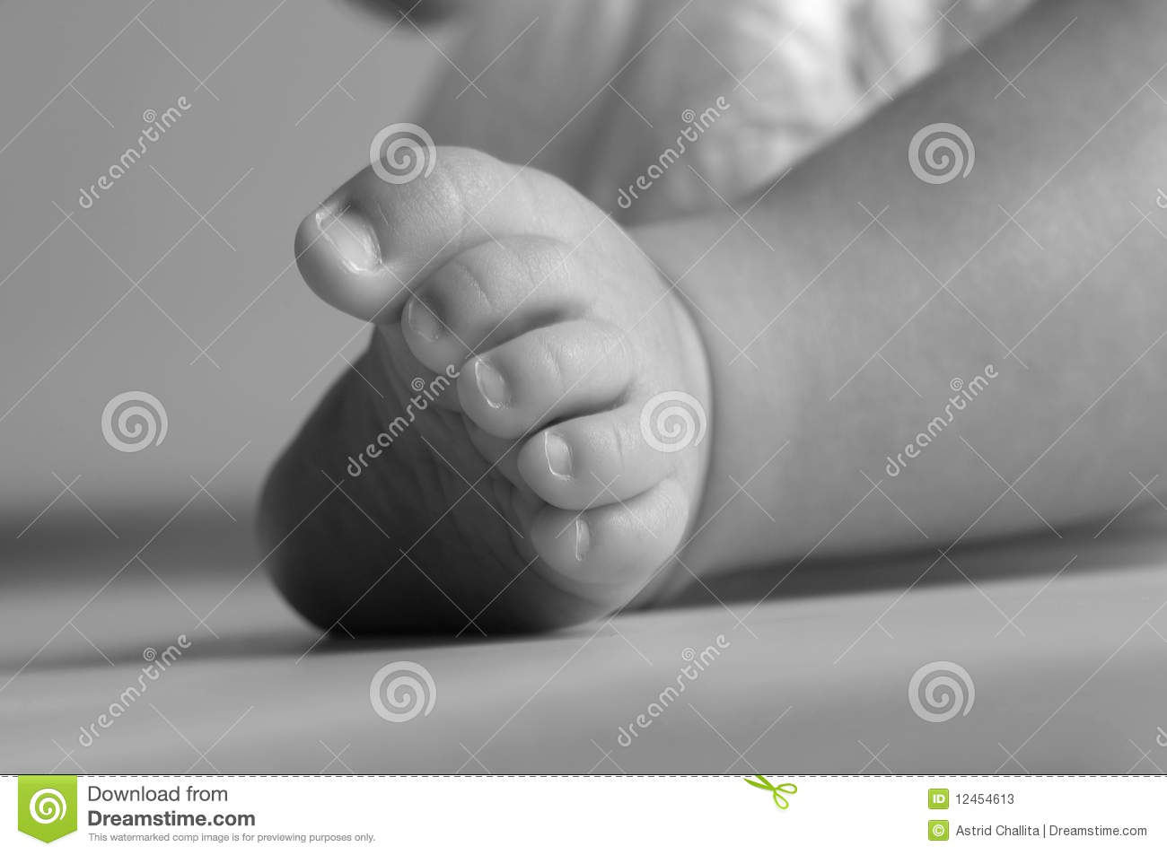 Baby Toes Stock Photos   Image  12454613